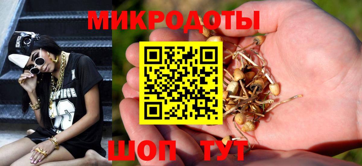 Галлюциногенные грибы MAGIC MUSHROOMS  Вход с VPN  Ишим 