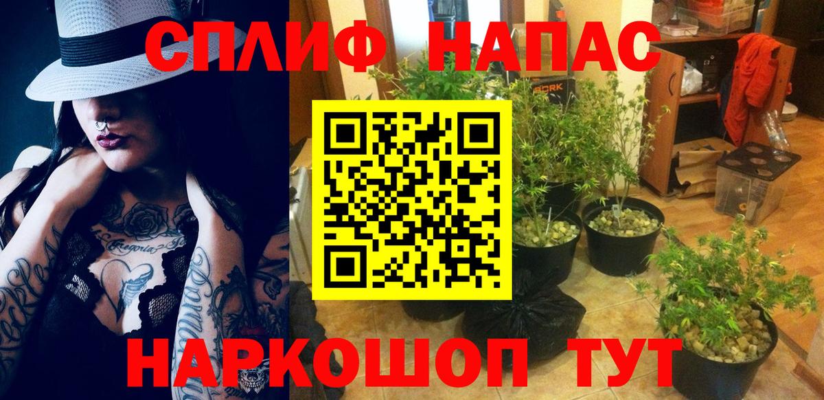 МАРИХУАНА OG Kush Ишим